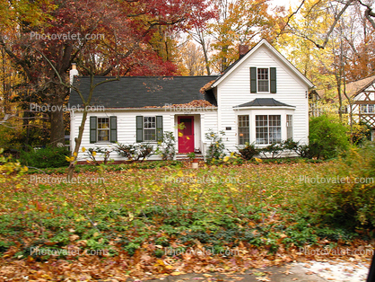 fall colors, Autumn, Trees, Vegetation, Flora, Plants, Exterior, Outdoors, Outside, home, house, single family dwelling unit, building, domestic, domicile, residency, housing