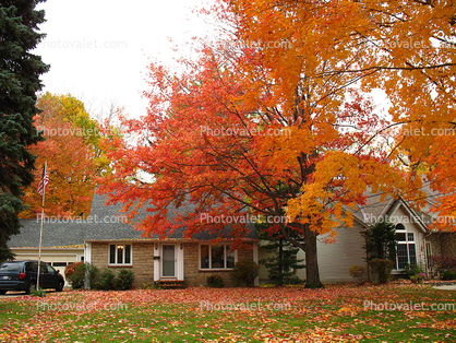 Home, House, Single Family Dwelling Unit, Autumn, City of Huron Ohio
