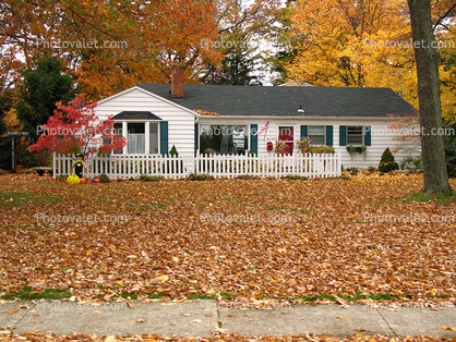 fall colors, Autumn, Trees, Vegetation, Flora, Plants, Exterior, Outdoors, Outside, home, house, single family dwelling unit, building, domestic, domicile, residency, housing