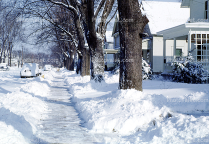 Snow, Ice, Cold, Sidewalk, Bare Trees, Winter, Street