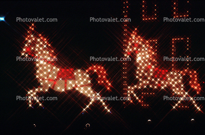 Horses, sparkly lights, Christmas lights, figures, decorations