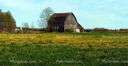 barn, wood, Yellow Flower Fields, outdoors, outside, exterior, rural, building, Door County, Green Bay Peninsula, Wisconsin