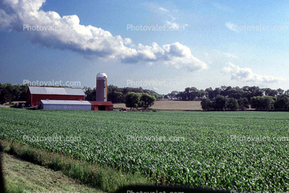 Fields, silo, farm, barn, crop, outdoors, outside, exterior, rural, building