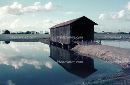 Reflecting Lake, Water, 1950s
