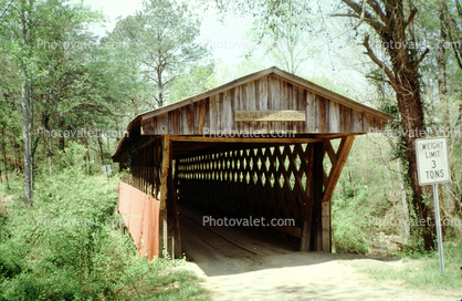 Easley Covered Bridge, Forest, Trees