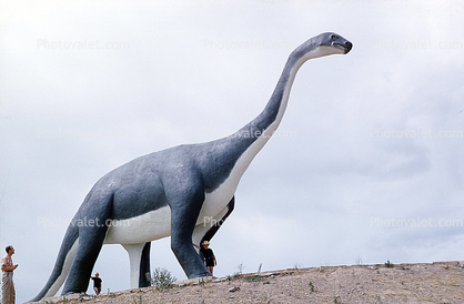 Brontosaurus, Long Neck, Dinosaur Park, Rapid City