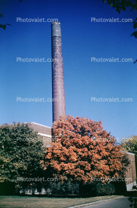 fall colors, Autumn, Trees, Vegetation, Flora, Plants, Exterior, Outdoors, Outside, Wyandotte High School, building, Kansas City, 1952, 1950s