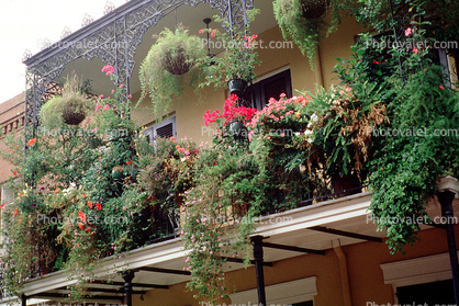 Plants, Balcony, Guardrail, Building, French Quarter
