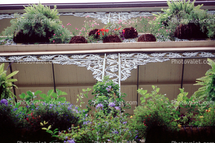 Plants, Balcony, Guardrail, Building, French Quarter