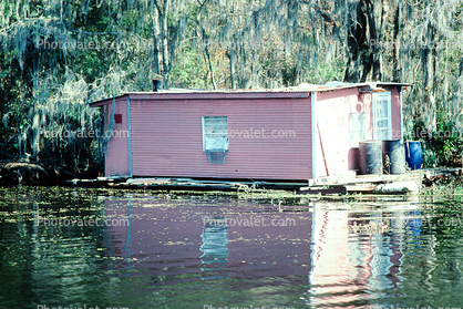 House on the Bayou, swamp, floating house, home, building, wetlands
