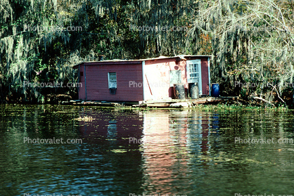 House on the Bayou, swamp, floating home, building, wetlands