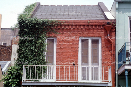 Ivy, Balcony, door, Guardrail, Building, the French Quarter