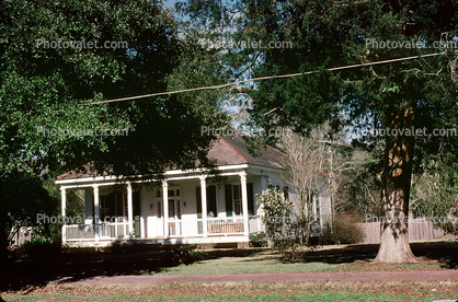 Home, Porch, Trees, Saint Francisville, 1950s