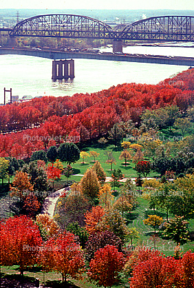 Autumn, Deciduous Trees, Fall Colors, River, Bridge, Water, Waterside, Bucolic