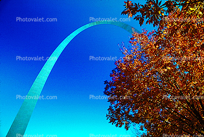 The Gateway Arch, Trees