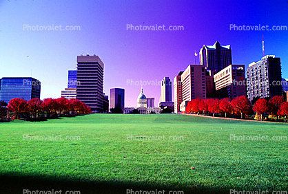 Cityscape, Skyline, Buildings, Skyscraper, Downtown, Outdoors, Outside, Exterior
