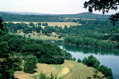 Forest, Hills, Lake Tansycomo