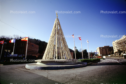 Christmas Tree, Hot Springs, Garland County