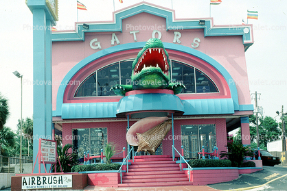 Gators, Alligator Teeth, conch shell, steps, stairs, Unique gift store, Gulfport