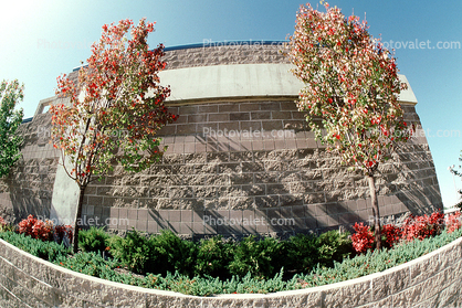 Brick Building, Trees, 22 October 1993