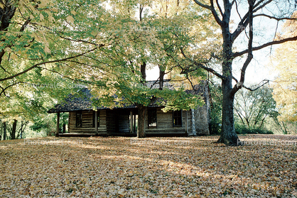 house, building, log cabin, 23 October 1993