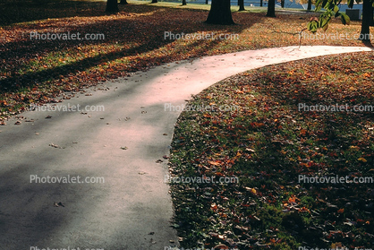 TCurvy Path, Walkway. Path, curve, he Hermitage, Leaves