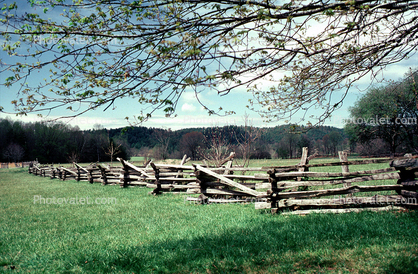 fence, field, Cades Cove