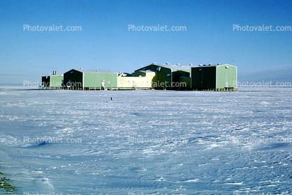 Tundra, Arctic Gas, Prudhoe