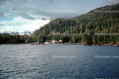Prince William Sound, near Valdez, harbor, forest, woodlands