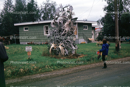 Moose Antlers, pile, Home, house, 1950s