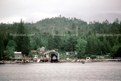 Harbor, Woodlands, Boat Shelter, Forest, Water, Buildings, Ketchikan, May 1991