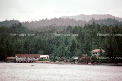 Forest, Water, Buildings, Ketchikan