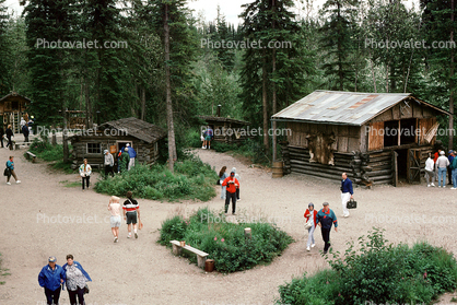 Log Cabin, July 1993