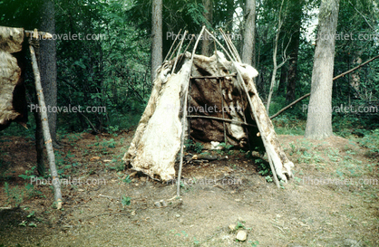 hut, tent, abode, teepee, animal hide