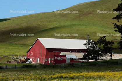 Barn, Building, Hills, Marin County