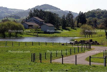 Pond, S-Curve, Fence, Grass, Hills, Lisa and Marks Place, Petaluma