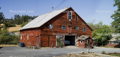 Barn, Sonoma County Panorama