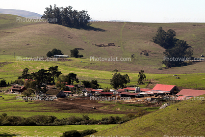 Valley, Hills, Buildings, Dairy, Two-Rock, Sonoma County