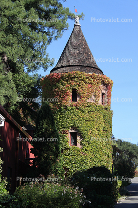 Ivy Tower, Cone, turret