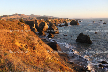Rugged Coast, Pacific Ocean, just north of, Bodega Bay