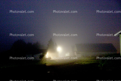 Foggy Night, Sonoma County