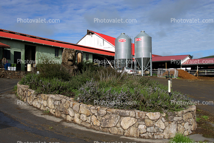 Dairy, Silo, Barn, Two-Rock, Sonoma County