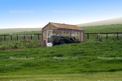 Shed, Fence, Grass, Fields, Hills, Two-Rock, Sonoma County