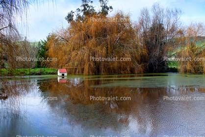 Bayou, Pond, Lake, Boat Shed, Two-Rock, Sonoma County