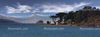 Tomales Bay, Marin County, Panorama