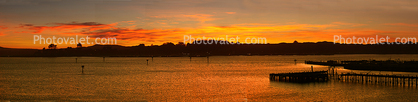 Bodega Bay Sunset, Pier, Lagoon, Panorama