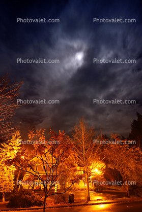 Moon over Downtown Occidental, Bohemian Highway, night, nighttime, trees