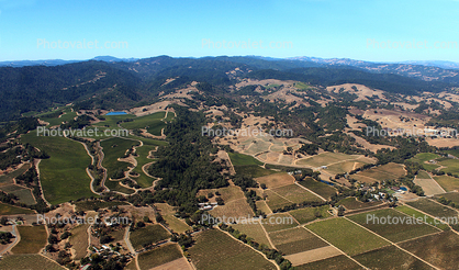 farmfields, vineyards, Windsor, Sonoma County