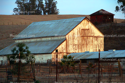 Barn, building, Lakeville, Sonoma County