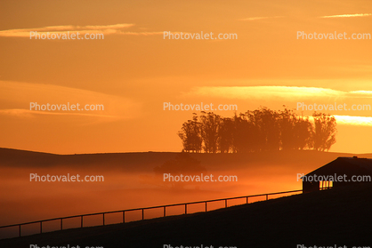 Early Morning Sunrise, sunsight, clouds, fog, Hills, barn